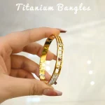 Stainless Steel Bangel (BA-009)