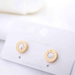 Stainless Steel Earrings (E-002)